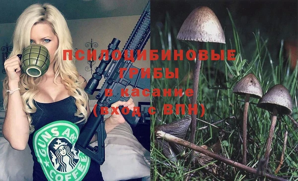 амф Пролетарск
