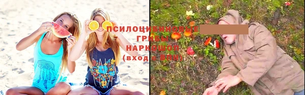 амф Пролетарск