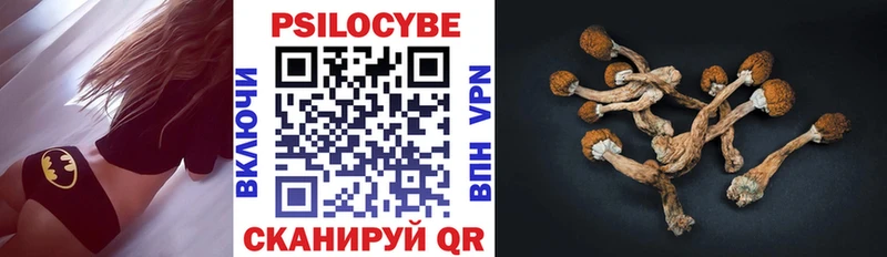даркнет телеграм  Томмот  Галлюциногенные грибы Psilocybine cubensis  где продают наркотики 